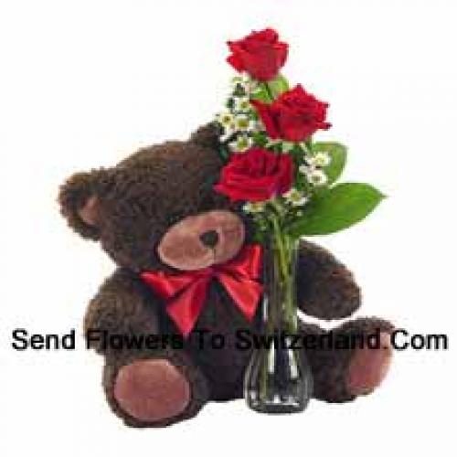 3 Red Roses with Beautiful 14 Inch Teddy