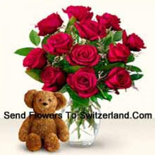 11 Red Roses with Cute 12 Inch Teddy