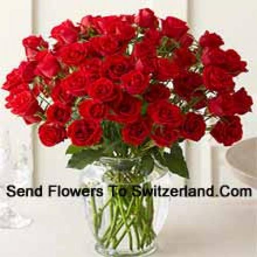 51 Beautiful Red Roses