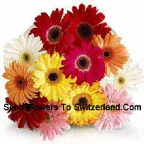 11 Assorted Gerberas with Fillers