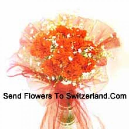 11 Orange Carnations in Vase