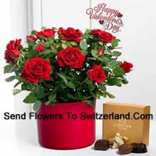 25 Red Roses with Yummy Godiva Chocolates